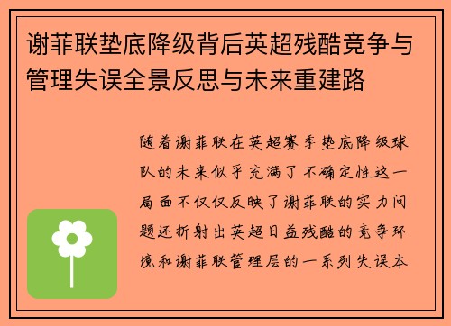 谢菲联垫底降级背后英超残酷竞争与管理失误全景反思与未来重建路 谢菲联垫底降级背后英超残酷竞争与管理失误全景反思与未来重建路